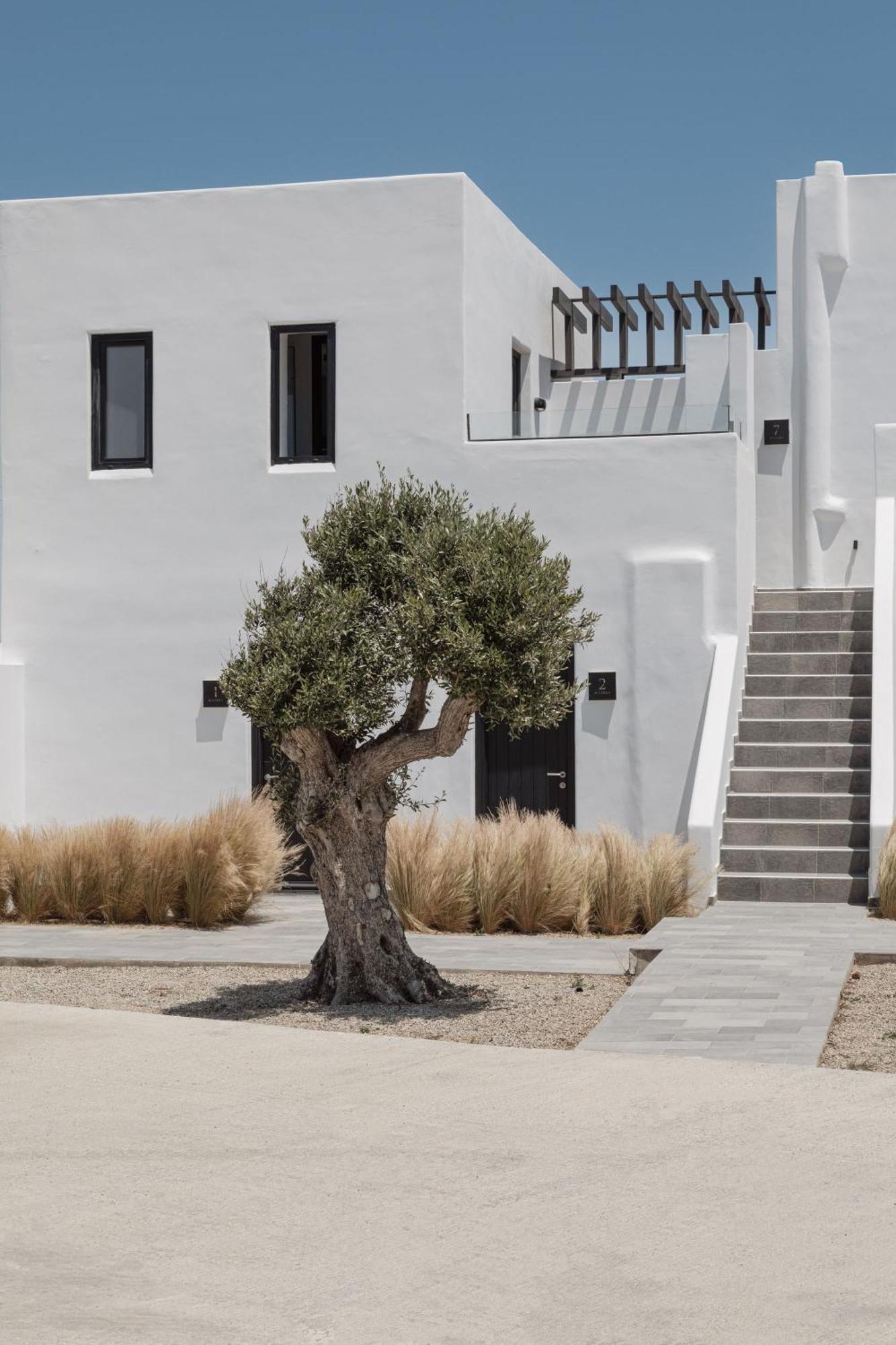 Laguna Suites In Mazera Mykonos Mykonos Town Exteriér fotografie